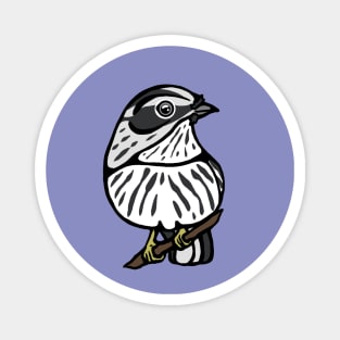 Black and White Warbler Graphic Magnet